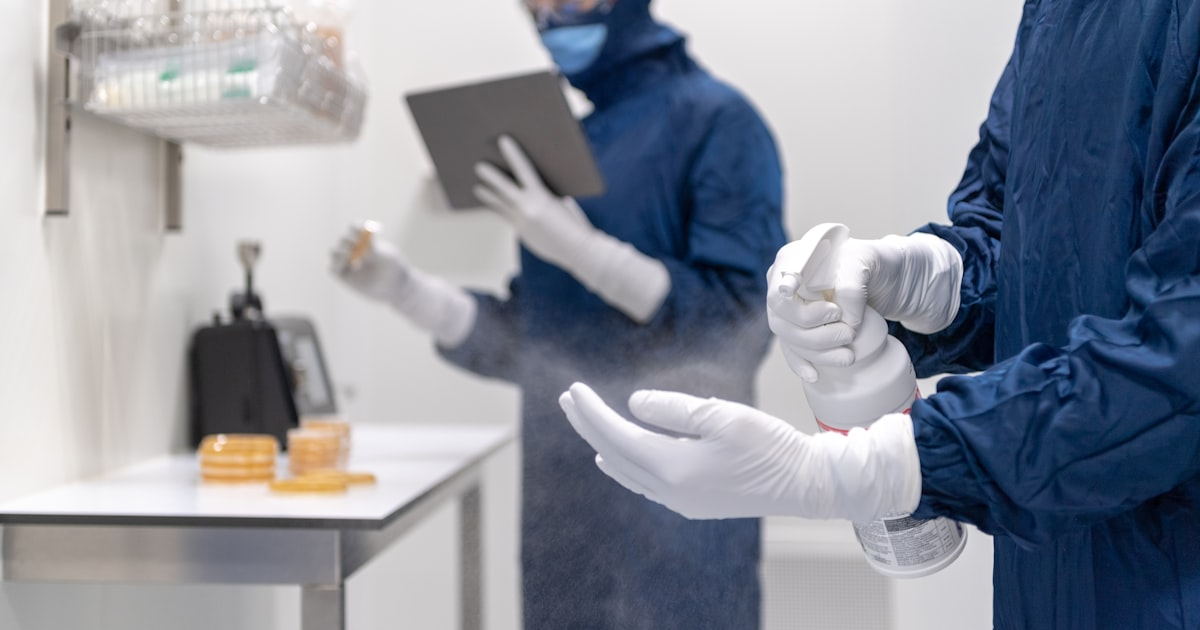 Franchise Opportunities in Cleaning Services